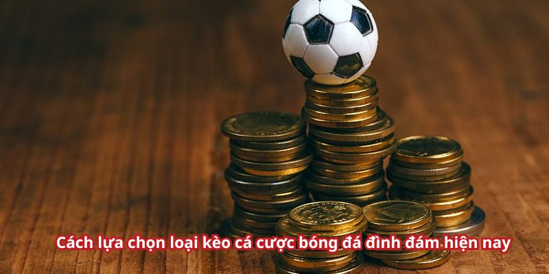 Những loại kèo được các tay chơi nên xuống tiền nhiều nhất