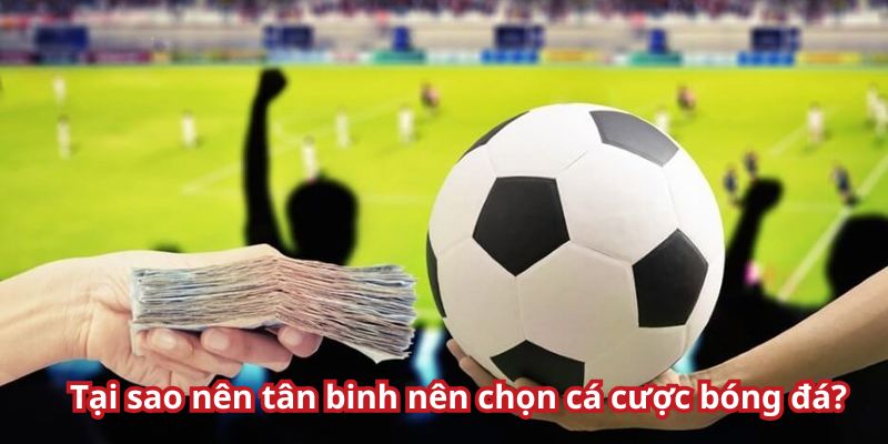 Tổng quan về cá độ bóng đá cho bet thủ nhận diện